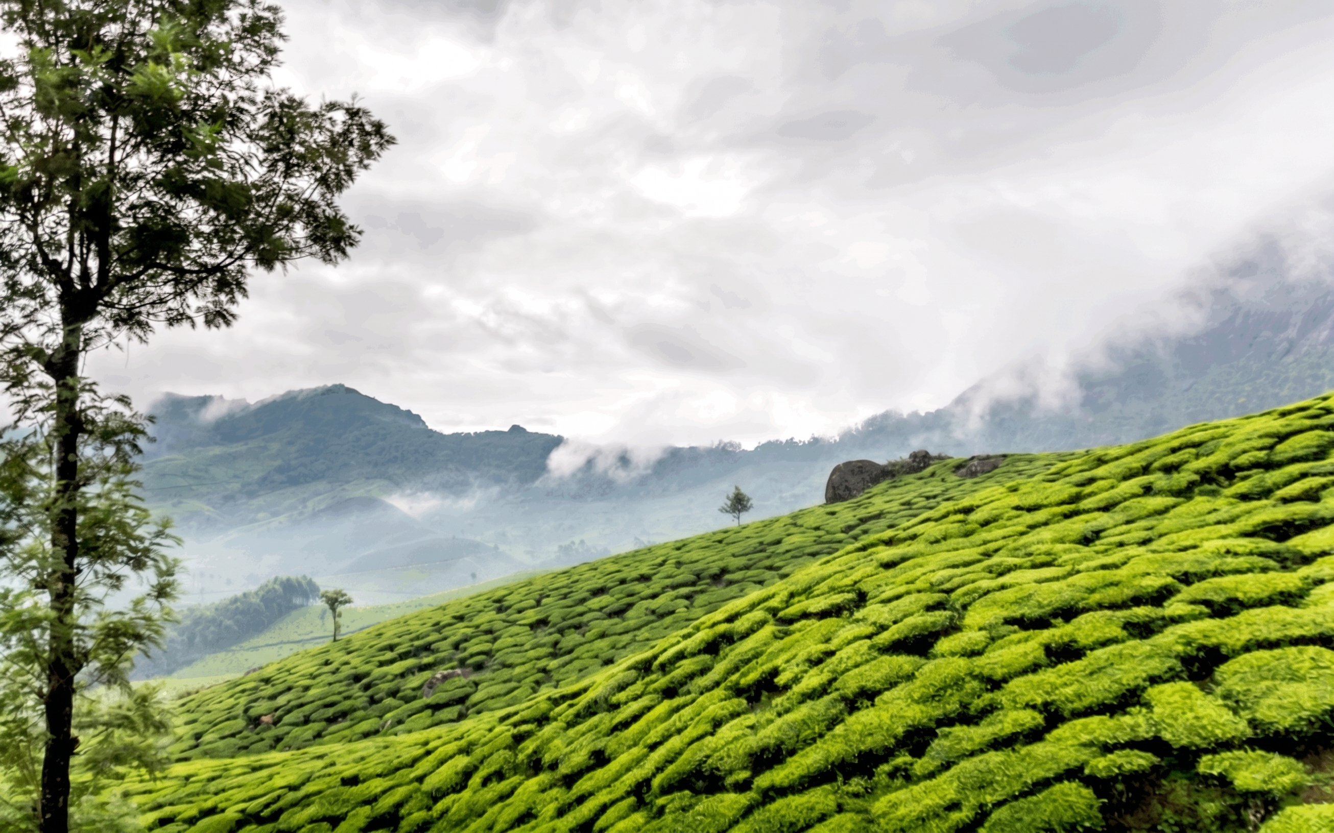 India