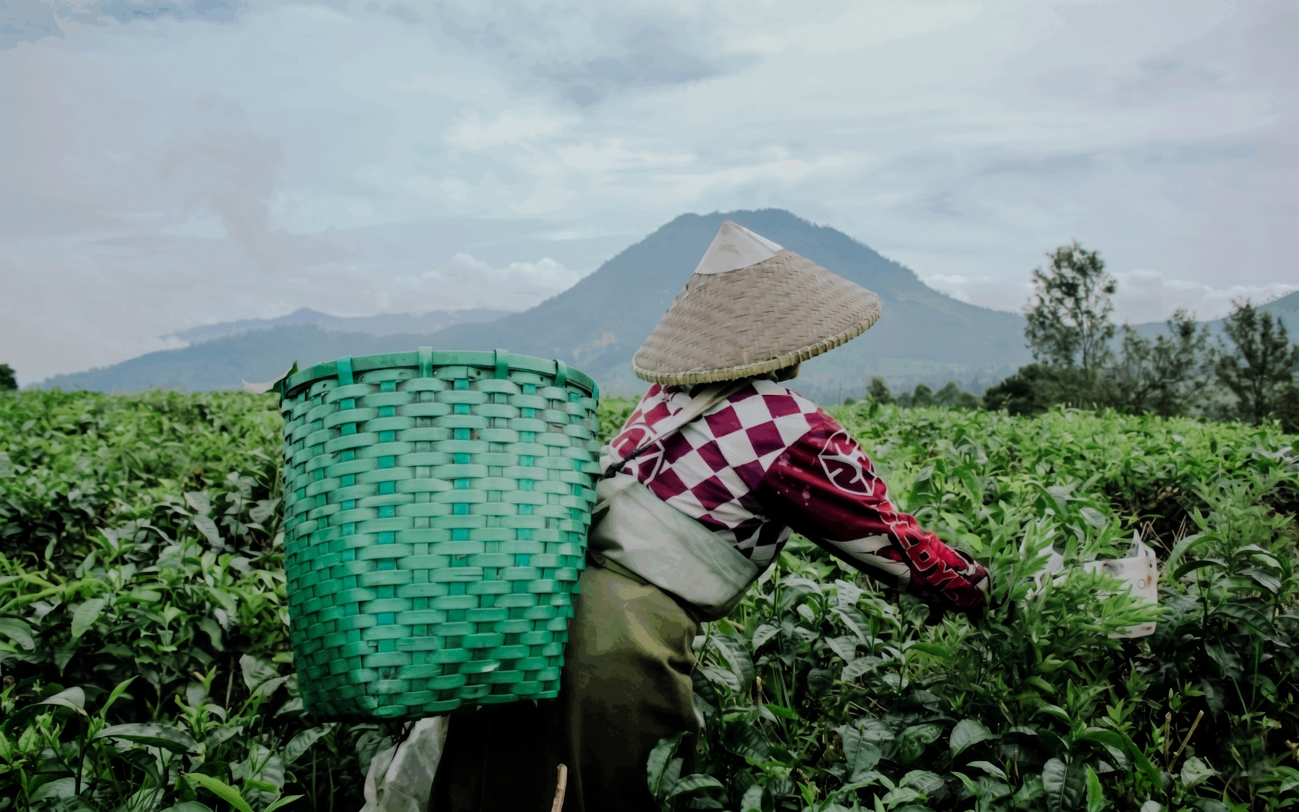 Indonesia