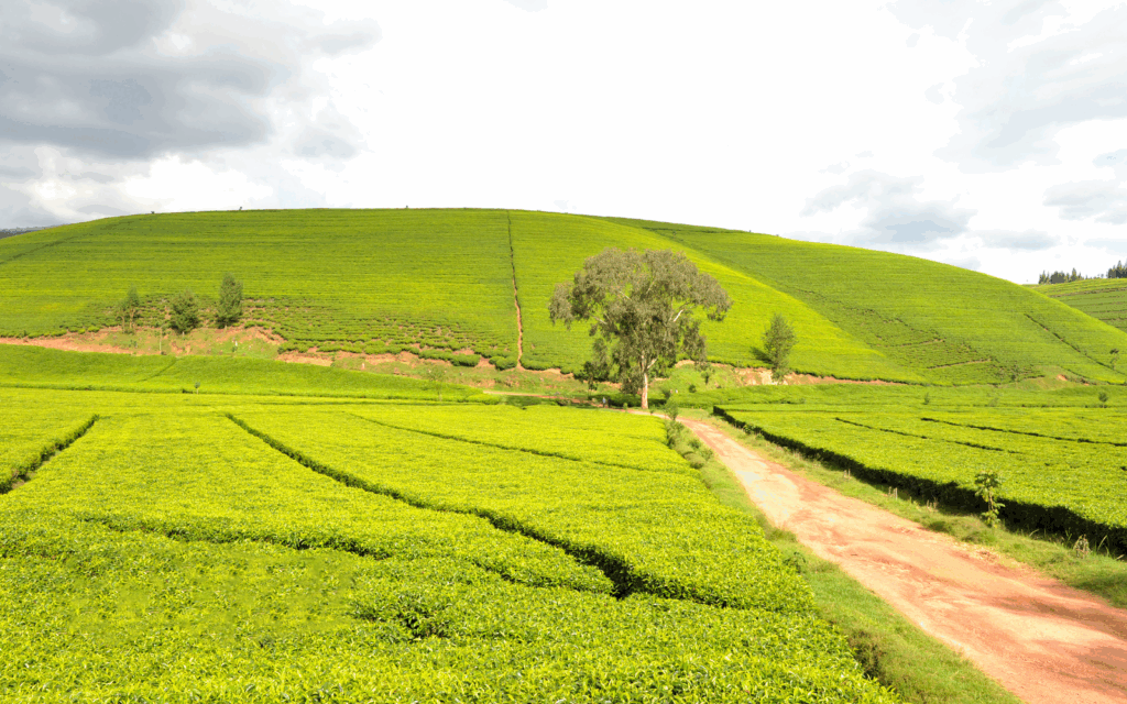 Rwanda
