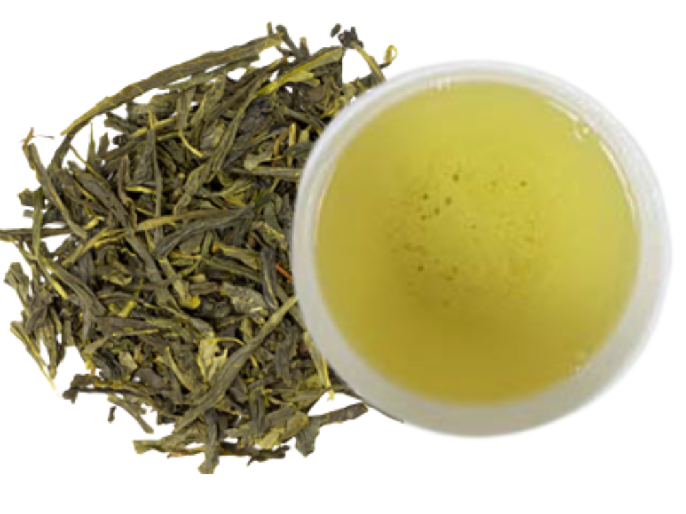 Organic Sencha – China